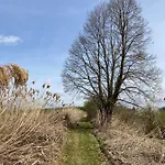 Bořikovský Dvůr 3* Litovany